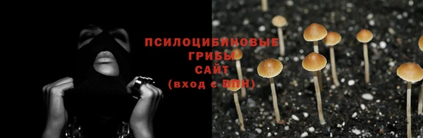 дурь Алзамай