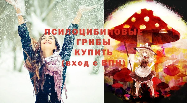 винт Алексеевка